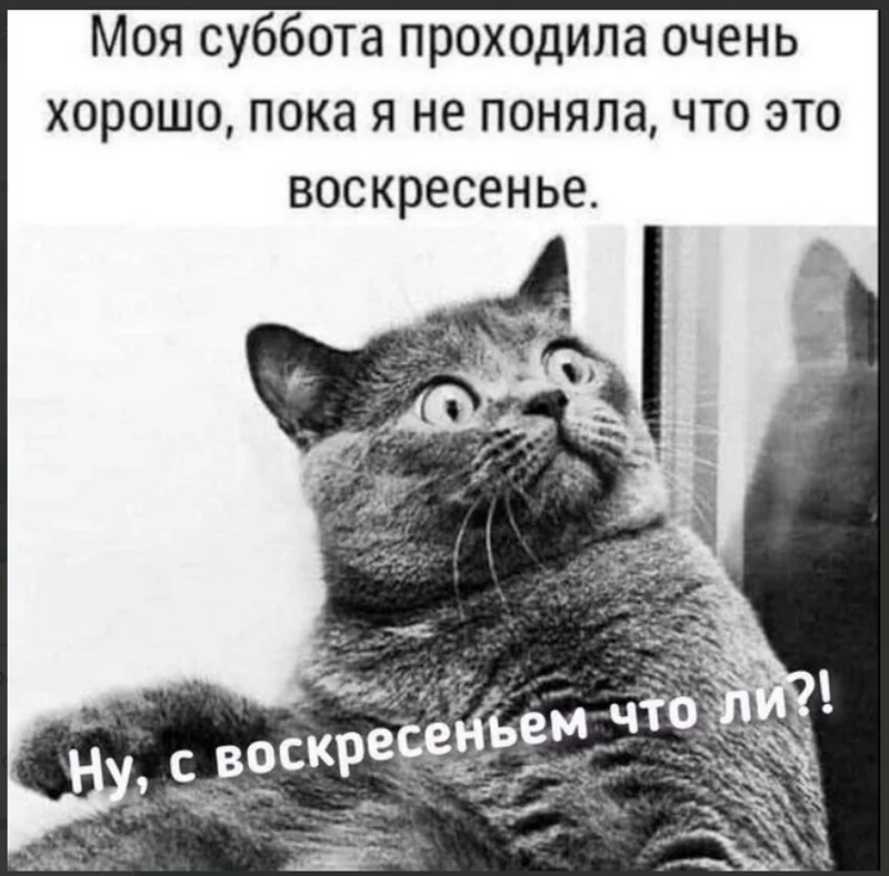 Посмеялся сам - поделись с другом!!!
