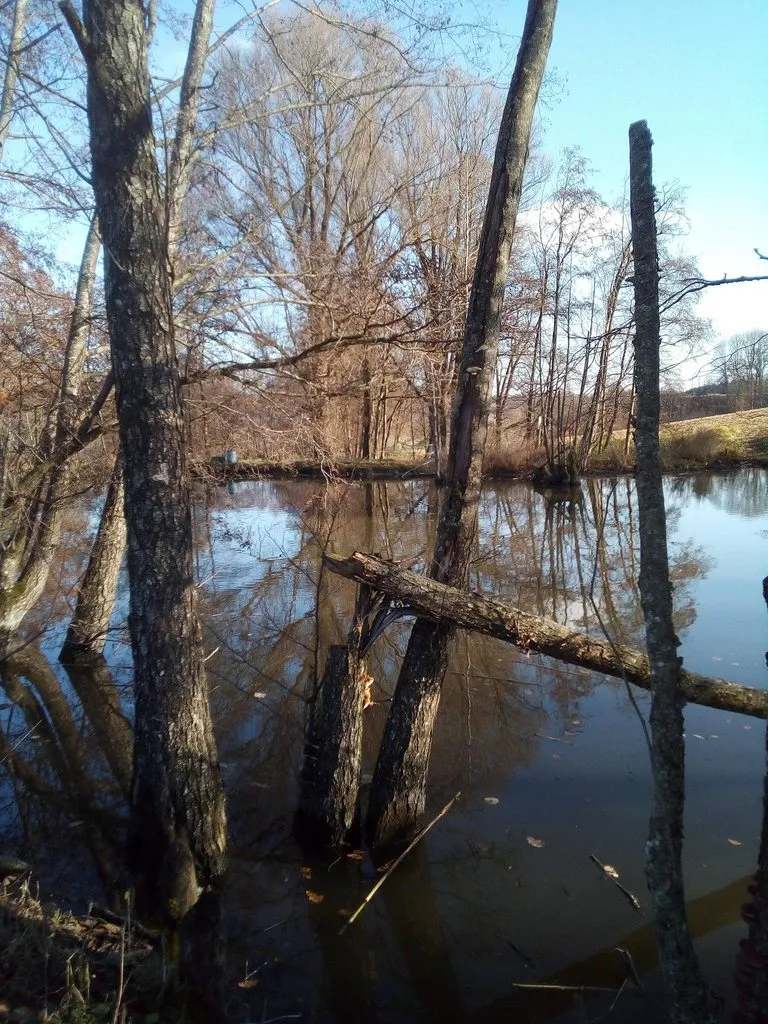 Чайная беседка