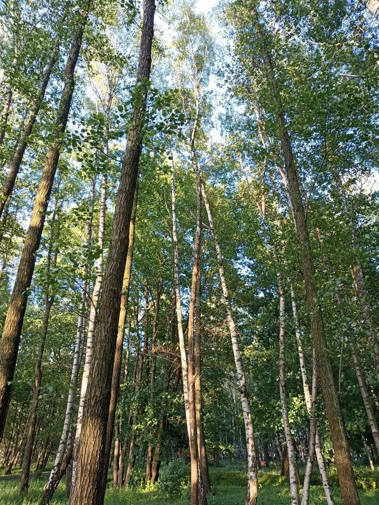 Калининградская область (не только море и янтарь) 