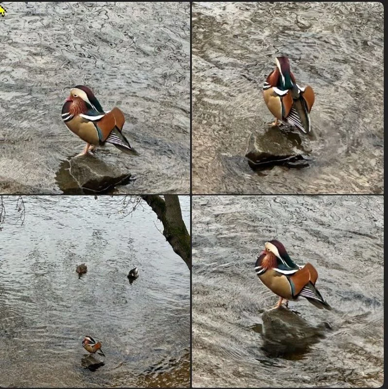 Коломенское