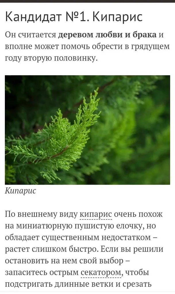 Кафе «У пани Сони»