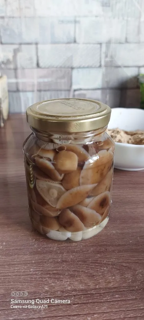 Чайная беседка