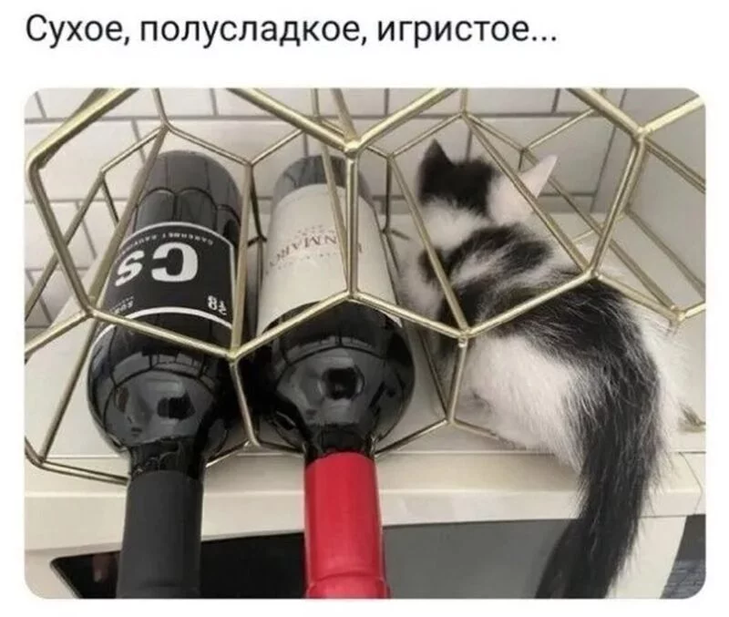 Посмеялся сам - поделись с другом!!!