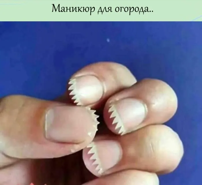 Посмеялся сам - поделись с другом!!!