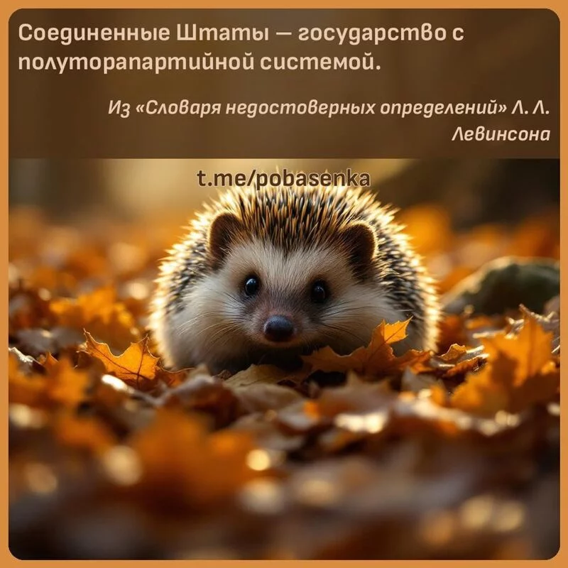 «Соединенные Штаты государство с полуторапартийной...» height="550" width="550"