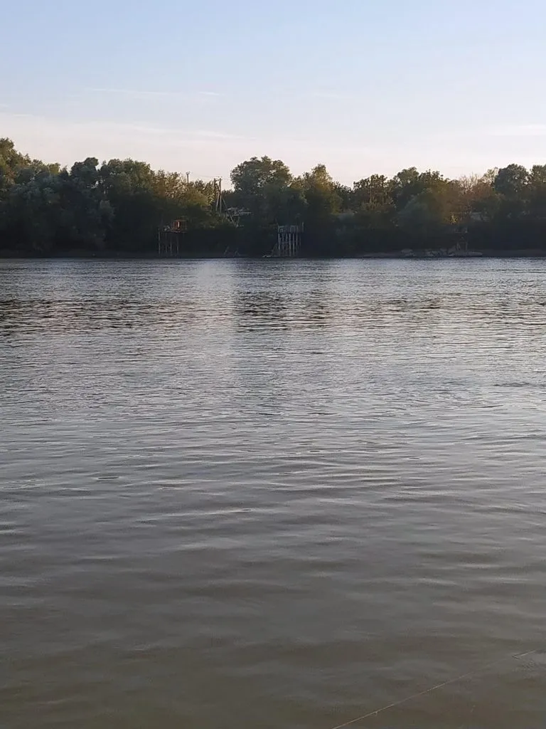 Чайная беседка