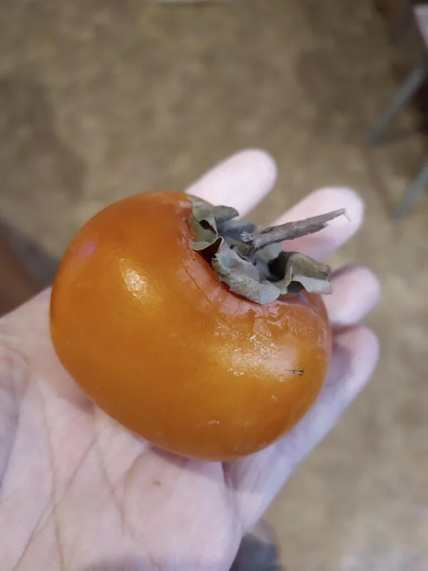 Фуд Сити в Москве