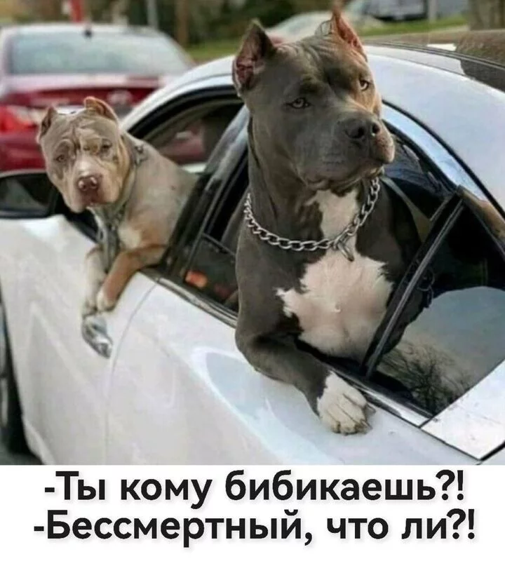 Посмеялся сам - поделись с другом!!!
