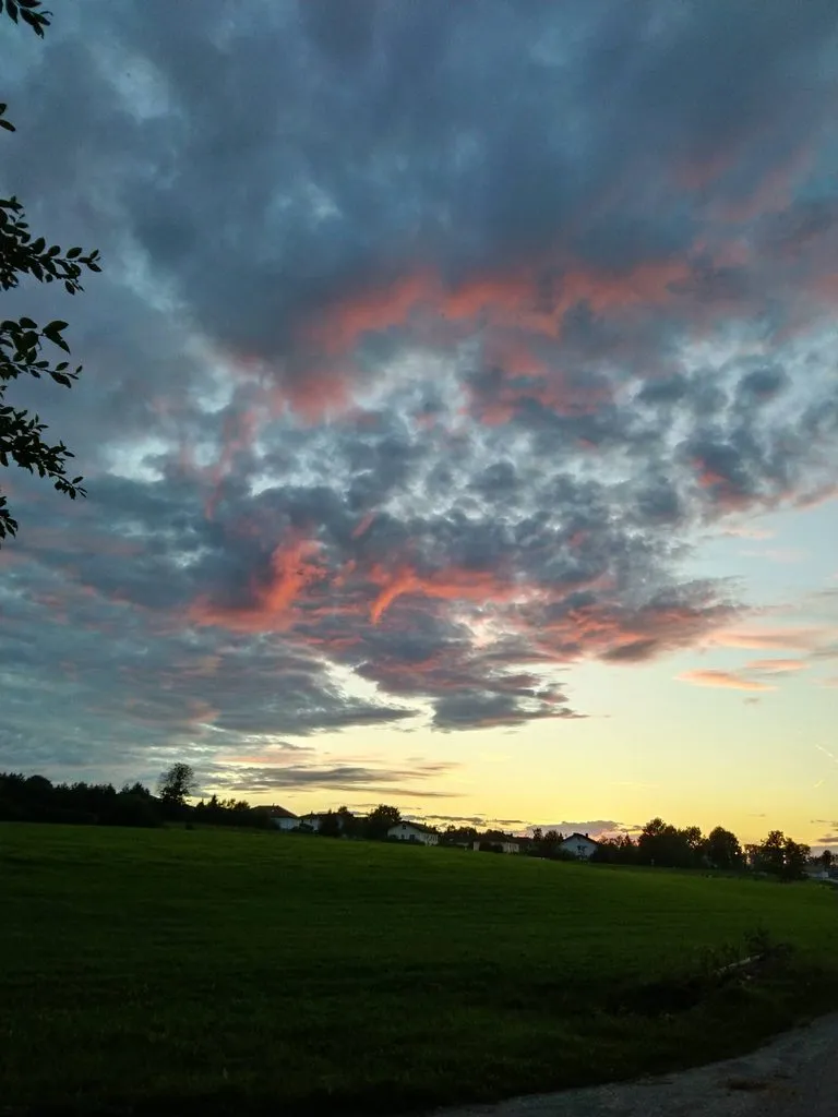 Чайная беседка