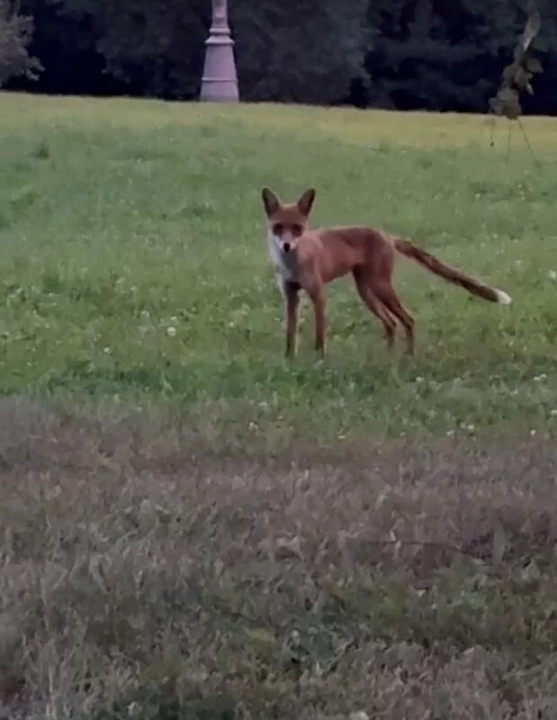 Коломенское