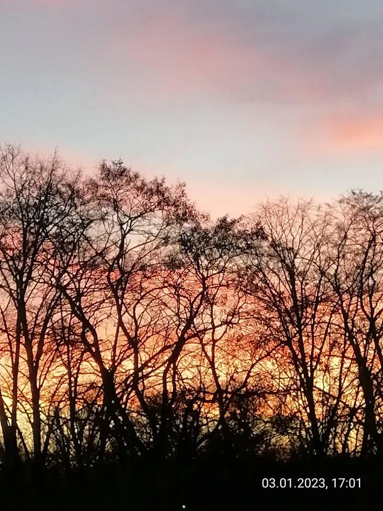 Такое разное небо