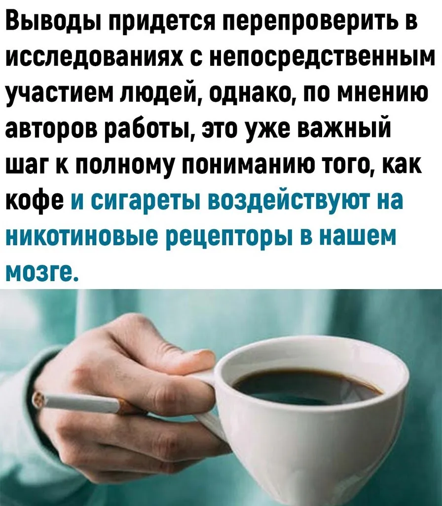 Это интересно!