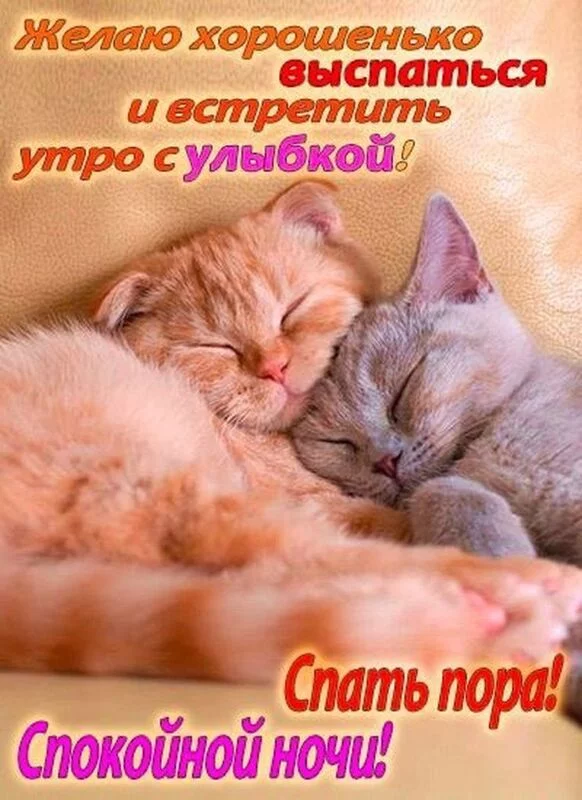 Кафе "У пани Сони"