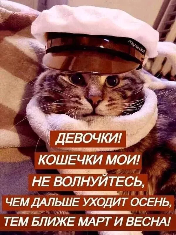 Кафе "У пани Сони"