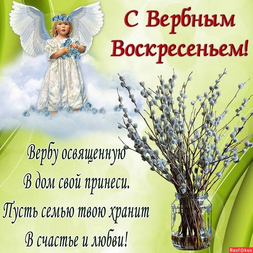 Tapтaлeтки & Ко