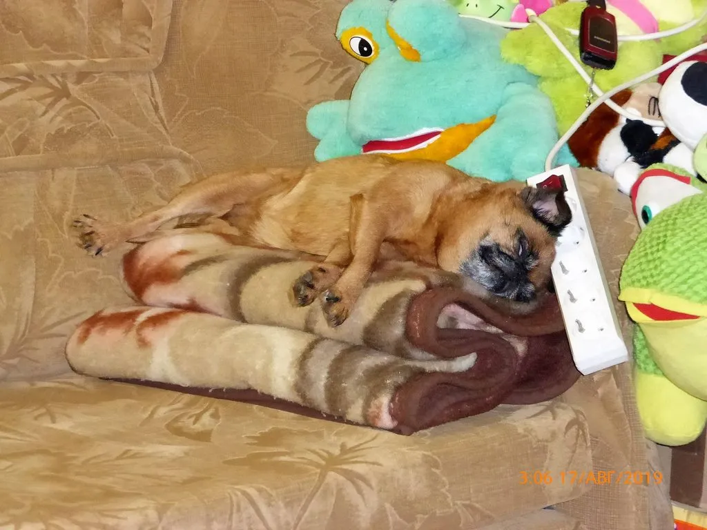 Чайная беседка