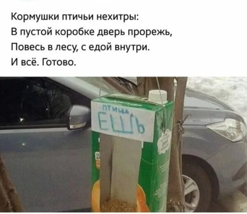 Всюду рифмы