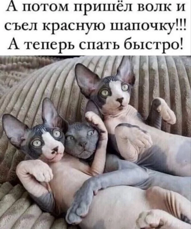 Посмеялся сам - поделись с другом!!!