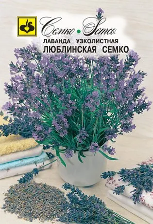 Пора выращивать рассаду