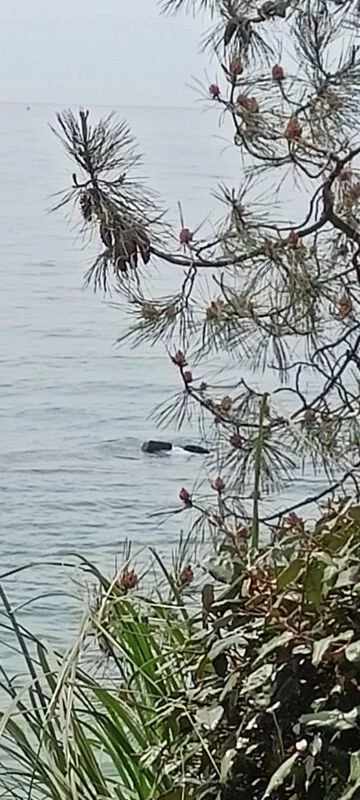 О, море, море... Морские виды, необычные пляжи, пристани, причалы, яхты и закаты