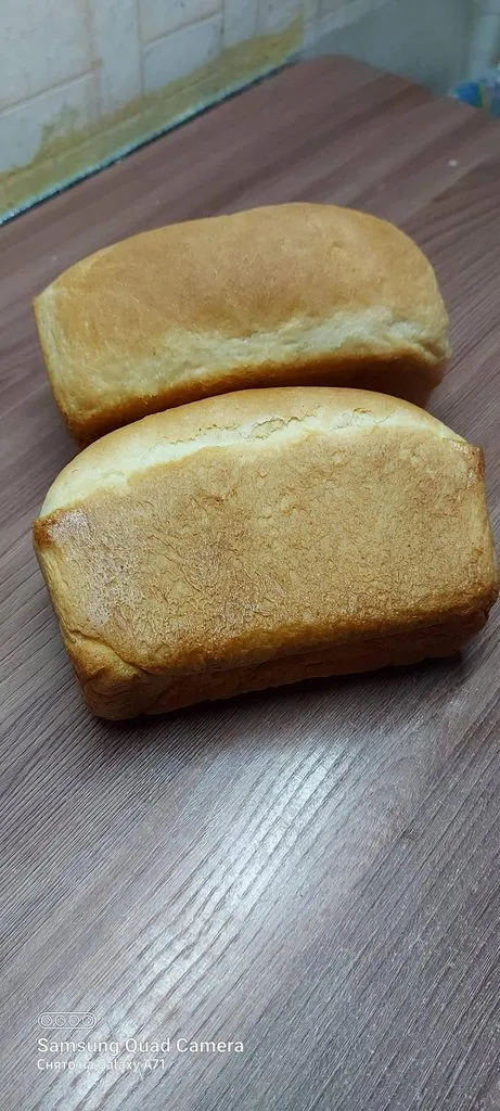 Tapтaлeтки & Ко