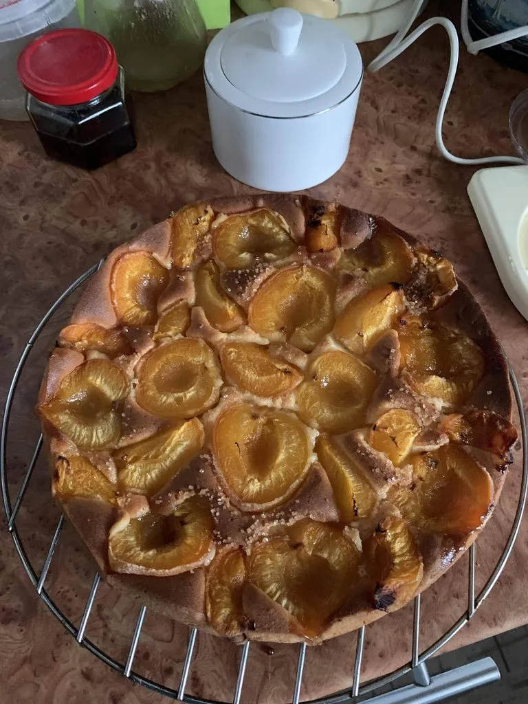 Пирог абрикосовый