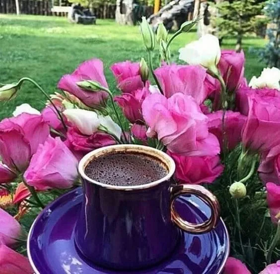 Tapтaлeтки & Ко