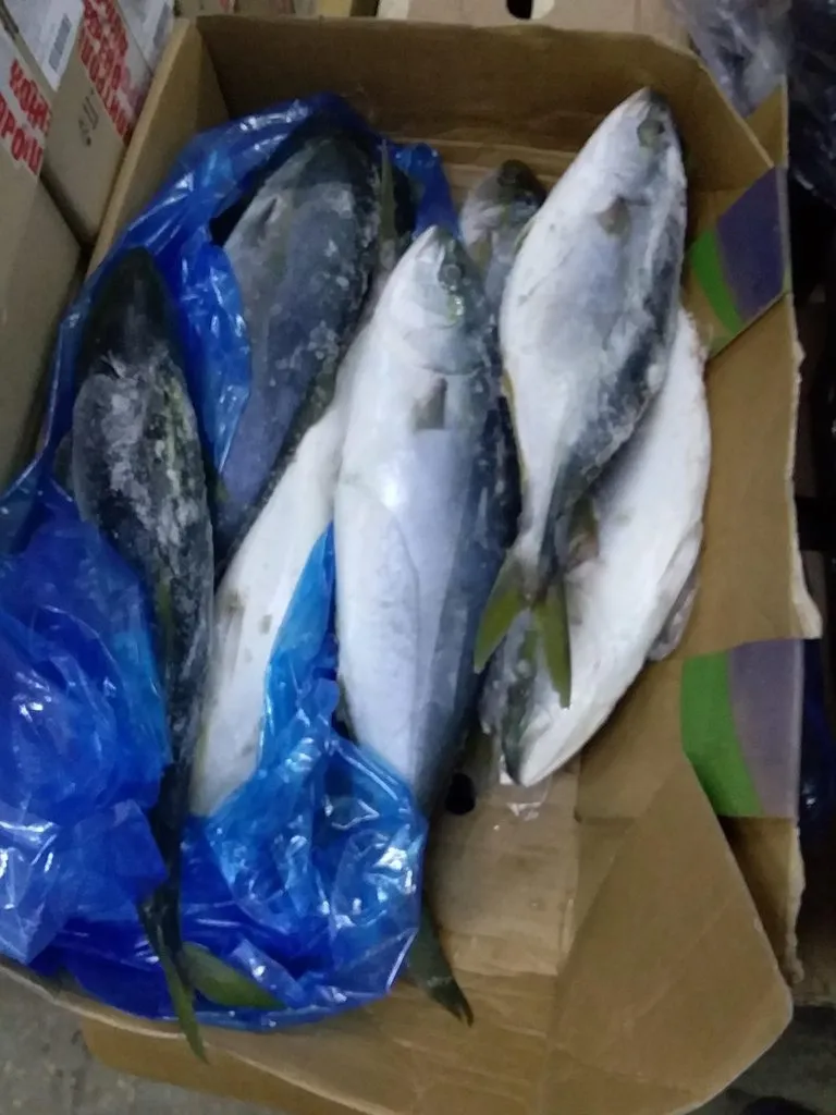 Где, что и когда купить в Москве