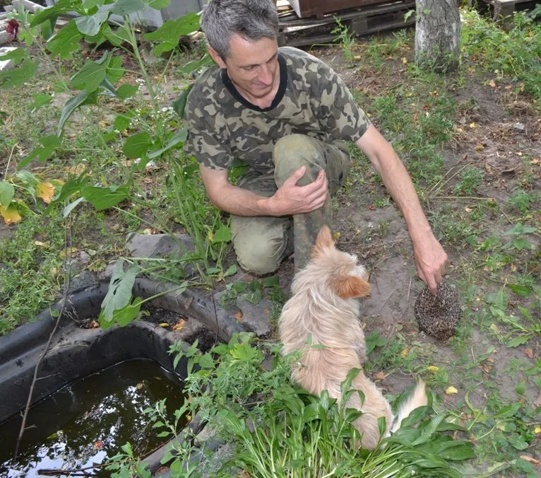 Чайная беседка