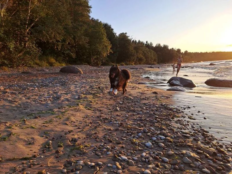 Фотонастроение