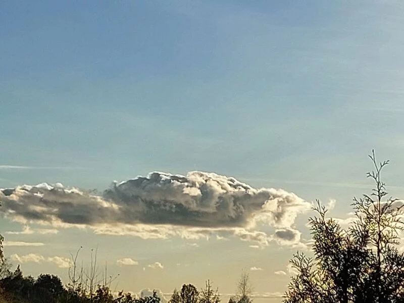 Такое разное небо