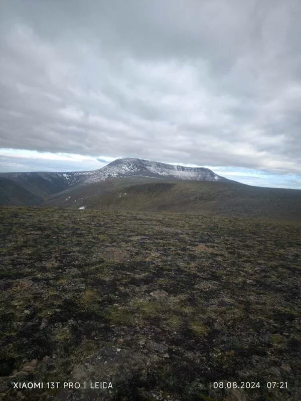 Чайная беседка