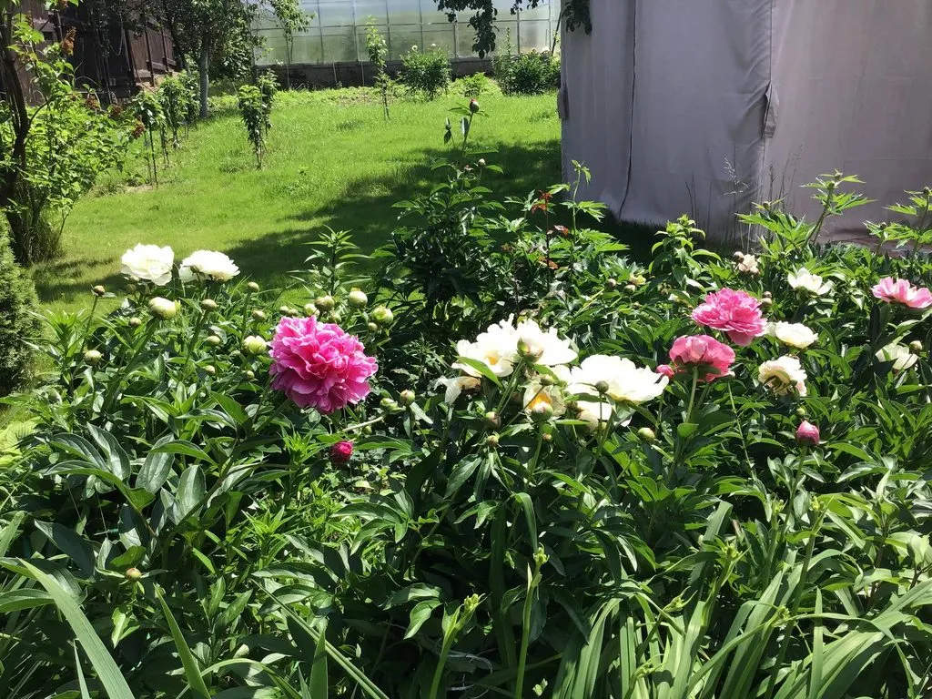 Загородная жизнь - обустройство жизни на своей земле во всем ее разнообразии