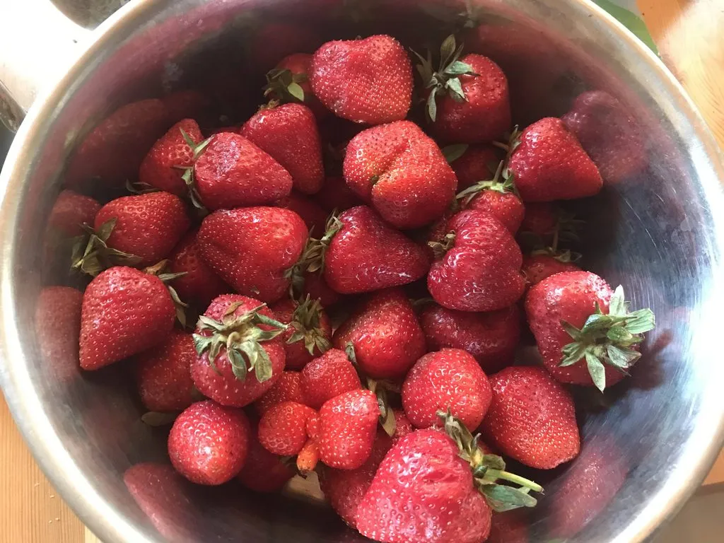 Что Вы сейчас едите? Фотоблог с вашего стола