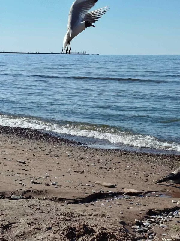 Фотонастроение