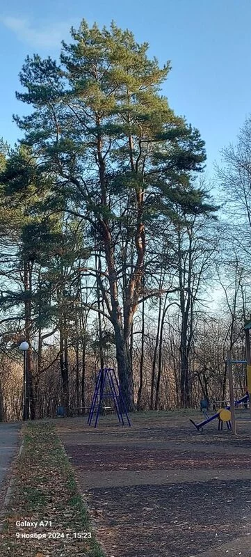 Чайная беседка