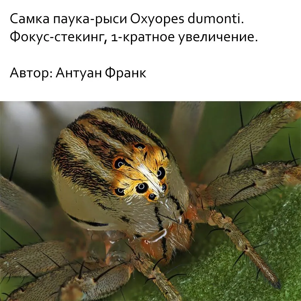 Это интересно!