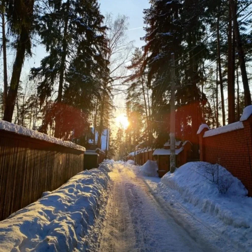 Чайная беседка