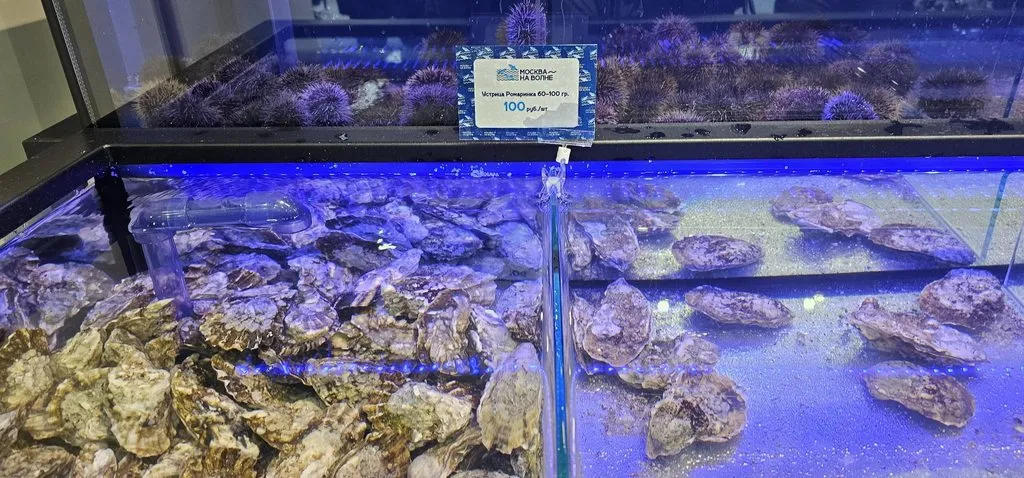 Где, что и когда купить в Москве