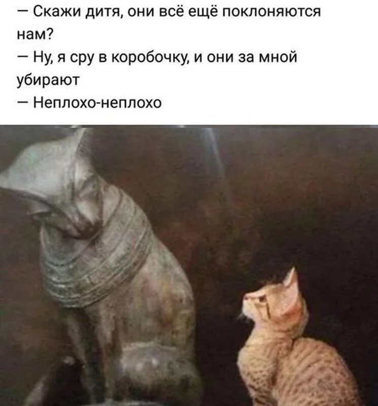 Посмеялся сам - поделись с другом!!!