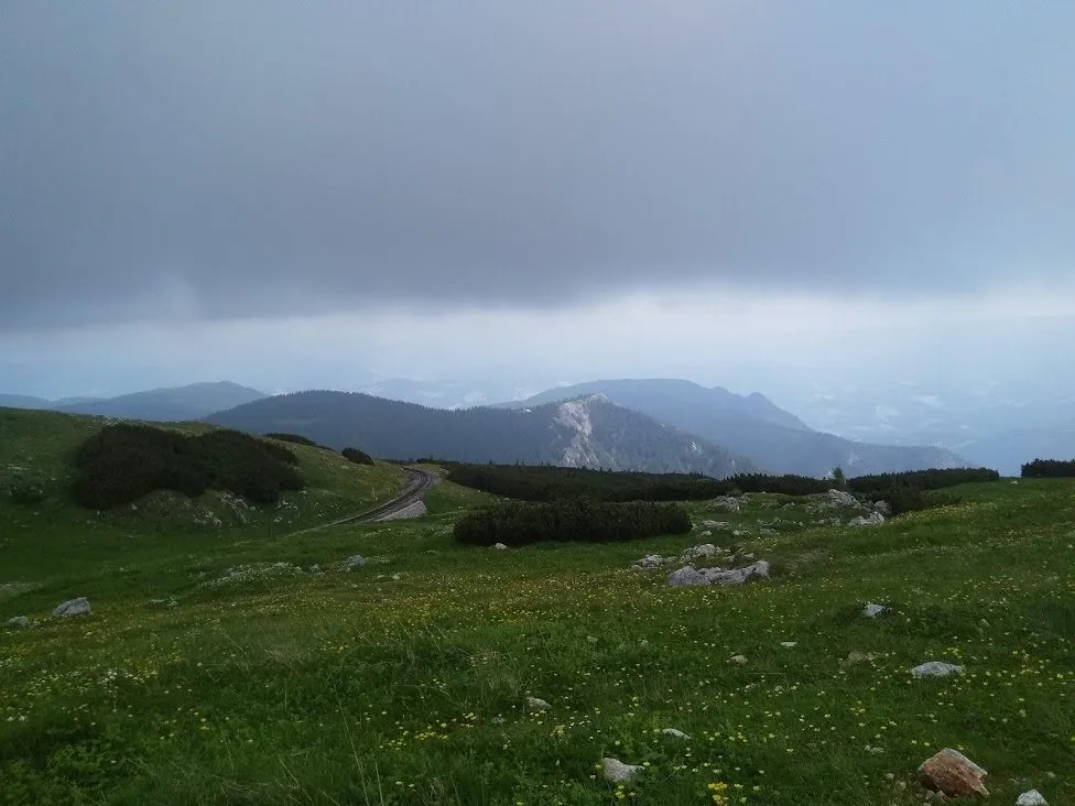 Чайная беседка