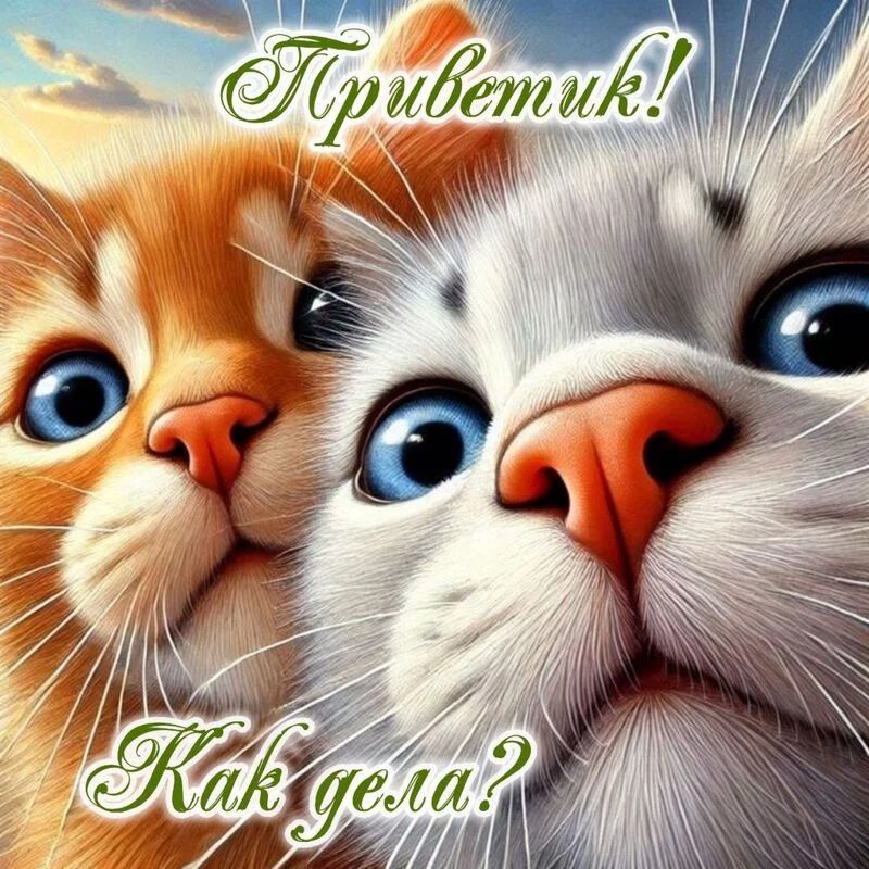Кафе "У пани Сони"