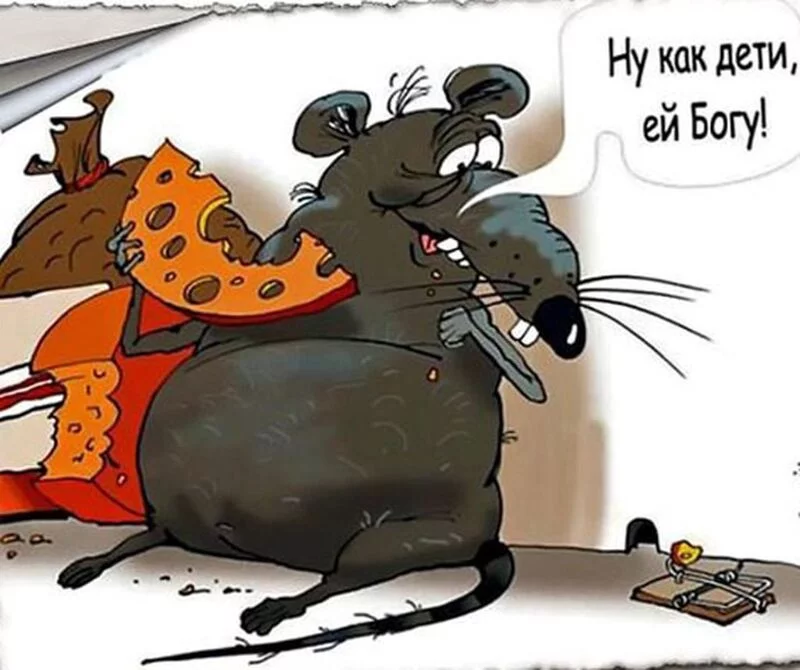 Посмеялся сам - поделись с другом!!!