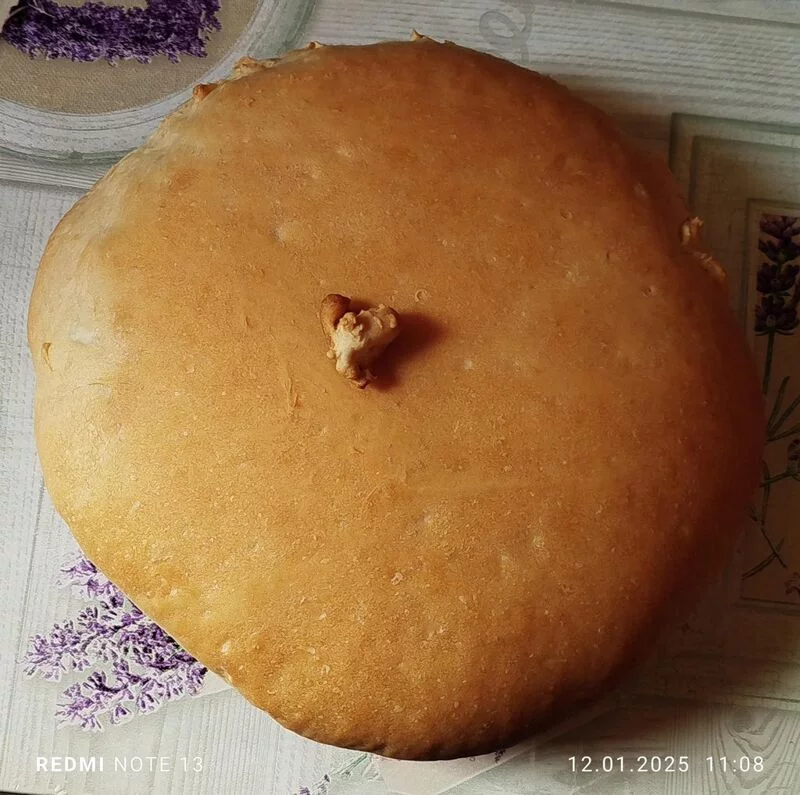 Tapтaлeтки & Ко