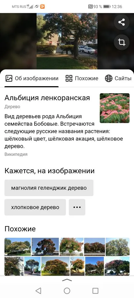 Чайная беседка