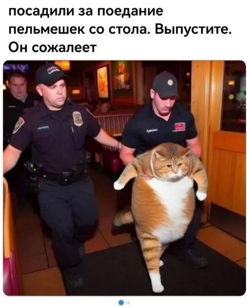 Посмеялся сам - поделись с другом!!!