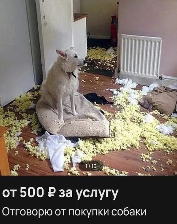 Посмеялся сам - поделись с другом!!!
