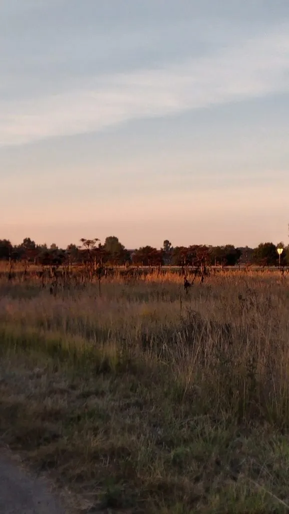 Чайная беседка