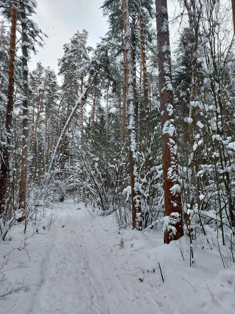 Tapтaлeтки & Ко