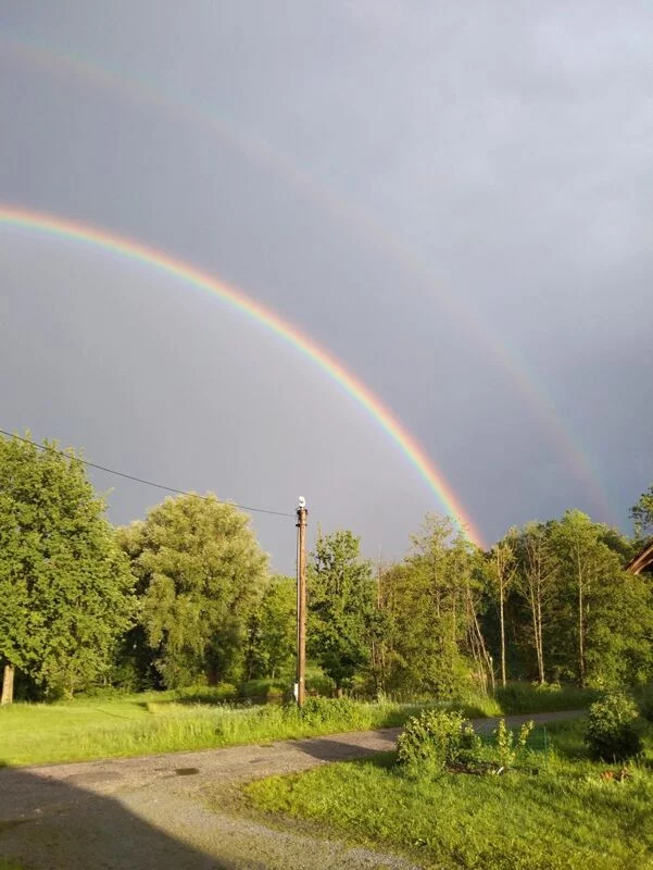 Чайная беседка